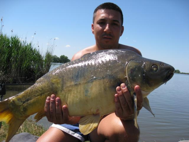 Pasiune - img1678.JPG